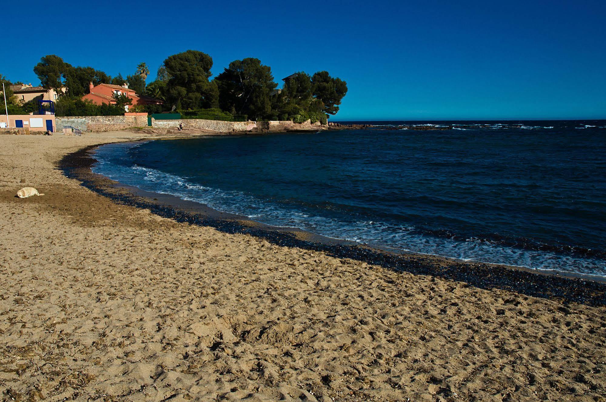 Hotel Et Studios Les Amandiers Saint-Raphaël Dış mekan fotoğraf